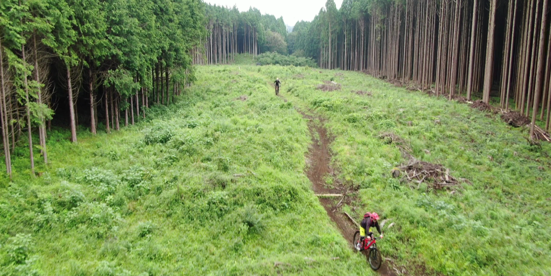 東京電力パワーグリッド株式会社 静岡総支社（MTB） | 静岡県東部地域スポーツ産業振興協議会